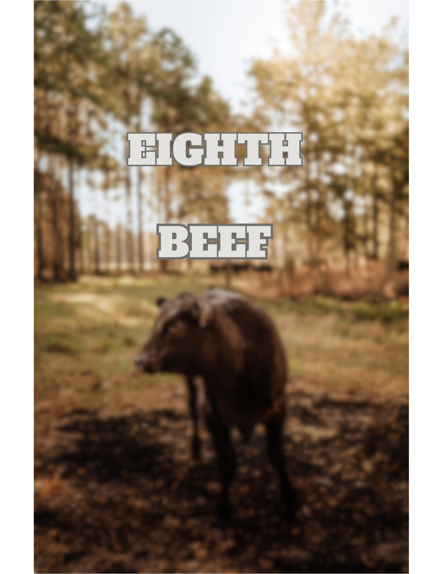 Eighth Beef for $800