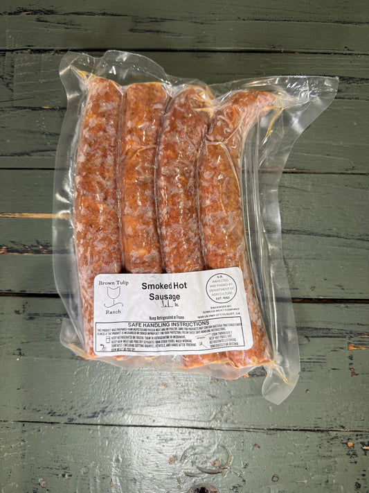 Hot Sausage Link