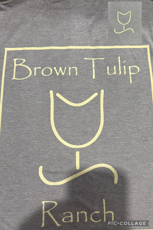 Brown Tulip Ranch Shirt