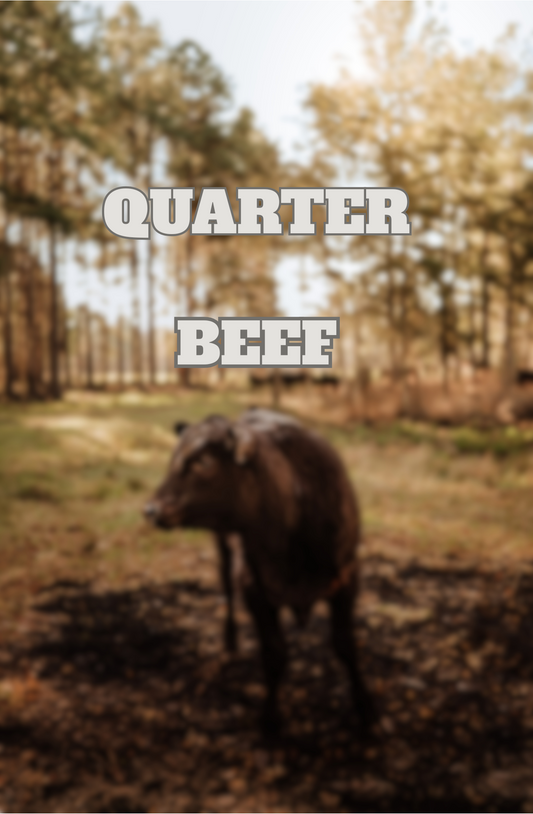 Quarter Beef